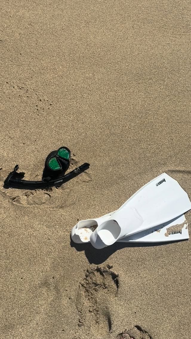 🌊🐠 Ready to Explore Underwater? 🐠🌊
Whether you’re a seasoned snorkeler or a first-timer, we’ve got the perfect gear for your ocean adventure! 🌴
🔹 High-quality masks, snorkels, and fins for all levels
🔹 Easy, convenient rentals
🔹 Explore crystal-clear waters and vibrant marine life
🔹 Affordable rates, no hassle
🌞 Dive into the blue and discover the beauty beneath the surface. Book your gear today and make your next beach day unforgettable!
Use code: OCEAN 🌊 at the checkout for $ OFF!
#SnorkelGear #UnderwaterAdventure #ExploreTheOcean #Snorkeling #BeachVibes #OceanLovers #BookNow #RentGear