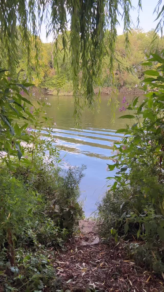 đŁď¸ This is the voice of an inner critic part that is trying to be loud so that it can get your attention. But why would it need to say these things to you?
From the Inner Criticâs perspective, this is a way of âmotivatingâ you to take the right actions or no actions so you can avoid a potential issue.
Usually that issue is the fear of rejection. And so the Inner Critic gets louder and does what it believes is right to protect you from further hurt.
The thing is that such methods, often donât create the desire result or if they do, they come with a lot of stress and pressure. What if there was another way to listen to the Inner Criticâs concerns and support them with their role, so that all parts of your system can feel more balanced?
First, itâs helpful to recognise which specific Inner Critic parts show up the most in your everyday life so that then you can begin to connect with them and offer support.
â¨Comment đđ§đ§đđŤ đđŤđ˘đđ˘đ below to receive my free PDF guide on how to recognise when your Inner Critic is running the show and how to start working with it.
#InnerCritic
#SelfAwareness
#ShadowWork
#PartsWork
#InnerWork
#SelfHealingJourney
#SelfCompassion