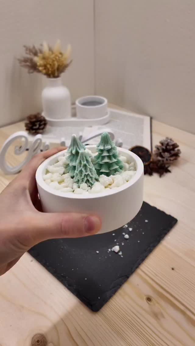 Frosted Woods🌲❄️
#candle #frostedwoods #christmas #candlelovers #candlemaker #homedecor #candleart #homemade #madewithlove
