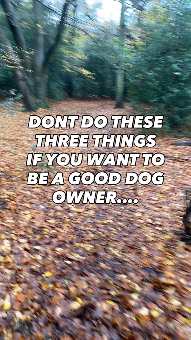 If you want to be a better dog owner and keep your dog safe
Make sure you do these things
1. Don’t let your dog off the lead until you have build solid engagement, relationships and they have a good recall
2. Don’t let them run up to strange dogs, this is not socialising and letting your dog play. This is putting them in a position they could get hurt. You don’t know the other dog or how responsible the owner is. Let your dog socialise with dogs you know
3. If someone you come across has a dog on a lead, put yours on the lead even if yours is friendly. That dogs on a lead for a reason, it could be nervous, it could be aggressive or it’s overstimulated aroused and needs to calm down
Need help walking or training your dog pop us a dm
Do you do all these things with your dog?
#chalfontstpeter #chalfontstgiles #gerrardscross #dogwalking #dogwalker🚶🏻♂️🦮💨 #seergreen #beaconsfield #dogtrainer #dogtraining #dogwalker