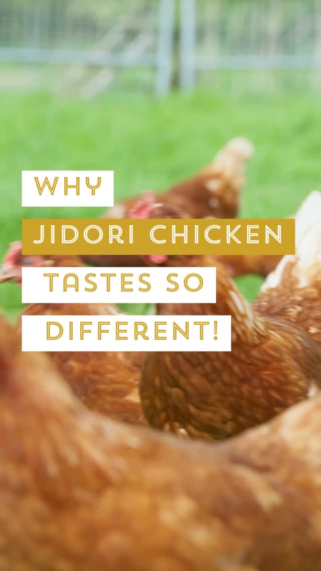 Have you heard of Jidori chicken? 🐔
It’s Japan’s premium free-range chicken — ethically raised, hormone-free, antiboitic-free, additive-freem and packed with flavor and nutrients.
💛 Why Jidori is special:
* Free-range & stress-free
* Naturally fed (no antibiotics, no hormone, no additives!)
* Deep umami flavor & firm texture
* Lean, nutrient-rich, and gentle on digestion
At Koji and More, all our chicken and egg dishes are made with locally sourced California Jidori chicken! 🐔✨
✨ Save this post and try cooking with Jidori next time — your body (and taste buds) will thank you!
#JidoriChicken #KojiAndMore #GutHealthRecipes #JapaneseCooking #HealthyJapaneseFood
🐔知っていますか?「地鶏(Jidori)」は日本のプレミアム鶏肉✨
放し飼い・ホルモン剤不使用・自然飼料で育てられた、旨味たっぷり&栄養豊富な鶏なんです!
💛 Jidoriの魅力:
・自然でストレスフリーな環境飼育
・旨味が濃く、食感もしっかり
・低脂質で栄養バランス◎
・消化にも優しく、腸活にもぴったり!
Koji and Moreでは、全ての鶏・卵料理はカリフォルニア産地鶏を使用しています!
ぜひ一度Jidoriで作ってみてね!
#地鶏 #JidoriChicken #発酵食 #腸活 #和食レシピ #KojiAndMore