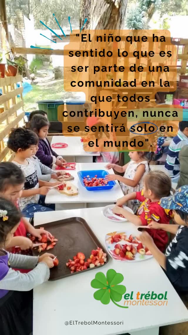 “El niño que ha sentido lo que es ser parte de una
comunidad en la que todos contribuyen, nunca se sentirá solo en el mundo.” ✨
En El Trébol Montessori, cada día es una oportunidad para vivir esta verdad. Nuestr@s niñ@s no solo aprenden conceptos académicos, sino también el valor incalculable de la colaboración, el servicio y el cuidado mutuo. Preparar los alimentos juntos, cuidar el ambiente y ayudarse unos a otros son lecciones prácticas que construyen un sentido de comunidad fuerte y duradero.
¡Una comunidad donde cada pequeña mano tiene un gran impacto!
#Montessori #ComunidadMontessori #EducacionMontessori #VidaPractica #IndependenciaInfantil #ElTrebolMontessori #CrecimientoEnComunidad #AprendizajeActivo