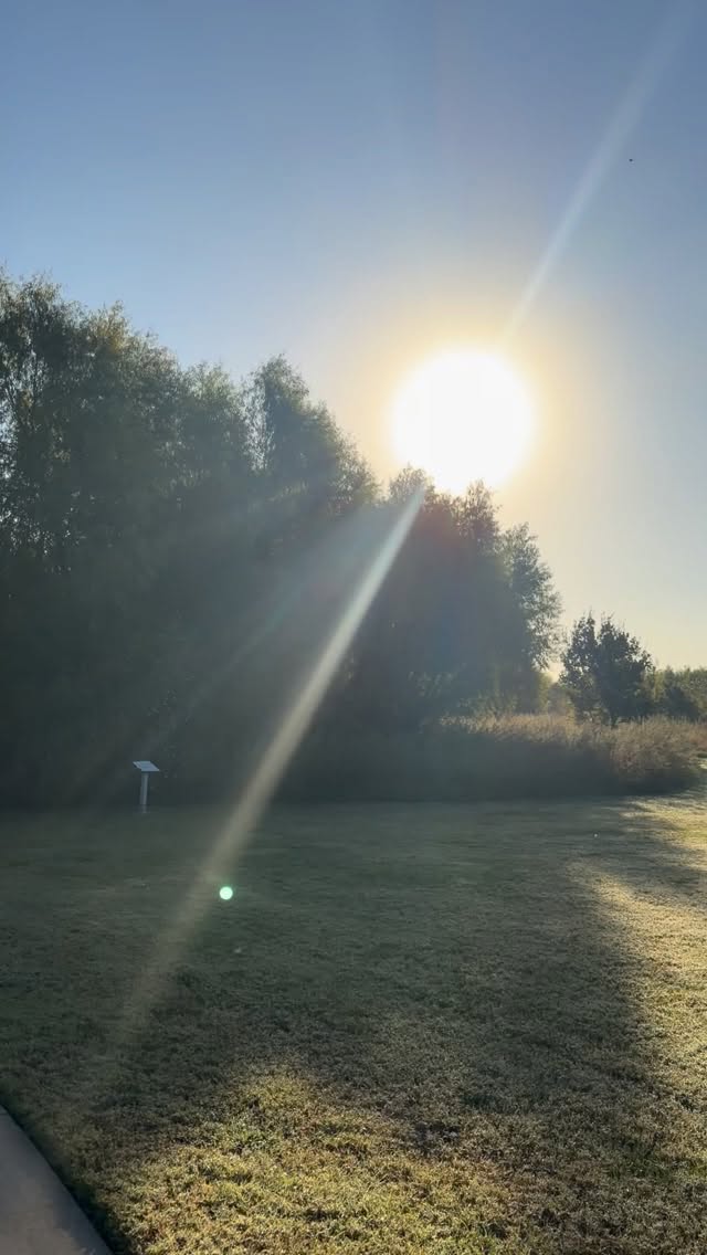 I live in the most adorable naturehood and I’m so grateful for that. Just the scenery alone motivates me to get out and walk every day and if that doesn’t do it, the chance that I’ll spot an alligator or a couple of river otters is pretty motivating as well. 💚🍁
#18DaysOfGratitude #gratitude #findthepositiveeveryday