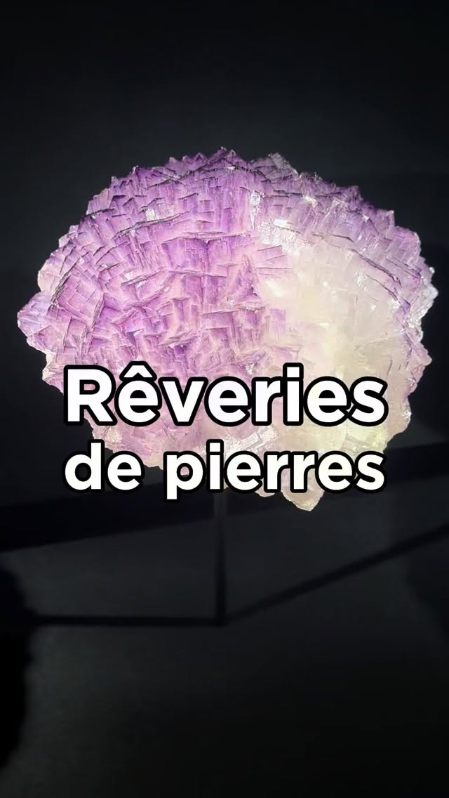 Découvrez une collection prestigieuse, celle de Roger Caillois, grand écrivain du XXᵉ siècle et passionné de pierres. Pendant plus de vingt-cinq ans, il a rassemblé des minéraux venus du monde entier, soit plus d’un millier de pièces aujourd’hui conservées au Muséum national d’Histoire naturelle de Paris. Pour Caillois, les pierres n’étaient pas de simples objets naturels : elles racontaient des histoires, éveillaient l’imagination et ouvraient la porte à la rêverie. Certaines rappellent des paysages, d’autres des créatures étranges ou des formes presque magiques. Ces découvertes ont profondément inspiré son écriture, notamment dans son célèbre livre L’Écriture des pierres, publié en 1970, un an avant son élection à l’Académie française. Vous pourrez observer près de 200 minéraux issus de sa collection, dont beaucoup sont présentés ici pour la première fois. Visiter cette exposition, c’est plonger dans un univers où la nature devient une œuvre d’art. Rendez-vous à ’École des Arts Joailliers jusqu’au 26 mars 2026.
——————
💎 L’École des Arts Joailliers
Hôtel de Mercy-Argenteau
16 bis, boulevard Montmartre - Paris 9
Du mardi au dimanche, de 11h à 19h
Nocturne jusqu’à 21h le jeudi
ℹ️ Gratuit sur réservation - Lien billetrie sur le profil de mon compte
#pierresprecieuses #pierreprecieuse #rogercaillois #ecoledesartsjoailliers #parisgratuit #bonplanparis #expogratuite #minerauxdumonde #minéraux #museumdhistoirenaturelle #visiteparis #parismusees
