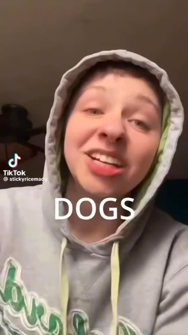 Where does your dog sleep🤣#rescuedogs Join us at DOGAROOO — the Ultimate Dog Convention! 🐾🐕🐩
Mark your calendars 🗓️ March 6–7, 2027 at the @pasadena_conventioncenter in Pasadena, CA! This is the can’t-miss event for dog lovers everywhere. 🐶✨
Here’s what you & your pup can look forward to:
✨ Vendors & Sponsors with treats, toys, food & must-have products
🎓 Meet & learn from some of the world’s top dog trainers
🏡 On-site adoption area in partnership with local shelters ❤️
👑 Dog costume contest + “Best in Show” competition
🌳 Dog park, pet games, dog art, fashion and fun for the whole family
Our mission at Dogarooo Convention is simple: create the ultimate experience for dog owners while helping pups across California find their forever homes. 🐾
🐕💼 Interested in sponsoring or booking a booth? Email us through the link in our bio today!
📍 Pasadena Convention Center
📅 March 6–7, 2027
#Dogarooo #DogConvention #pasadenadogs #DogParents #DogsOfInstagram #amazonpets #amazondogs #convention #conventions #rescuedogsofinstagram #dogevent #dogreels #doginfluencer #doginfluencers #doginfluencersofinstagram #dogtoysofinstagram #petexpo #funnydogvideos #dogtraining #dogtrainers #funnydog #losangelesdogs #cutedog #doginfluencersofinstagram #funnydogreels #funnydog #funnydog #dogmeme #dogs #funnydogmemes #chihuahuas