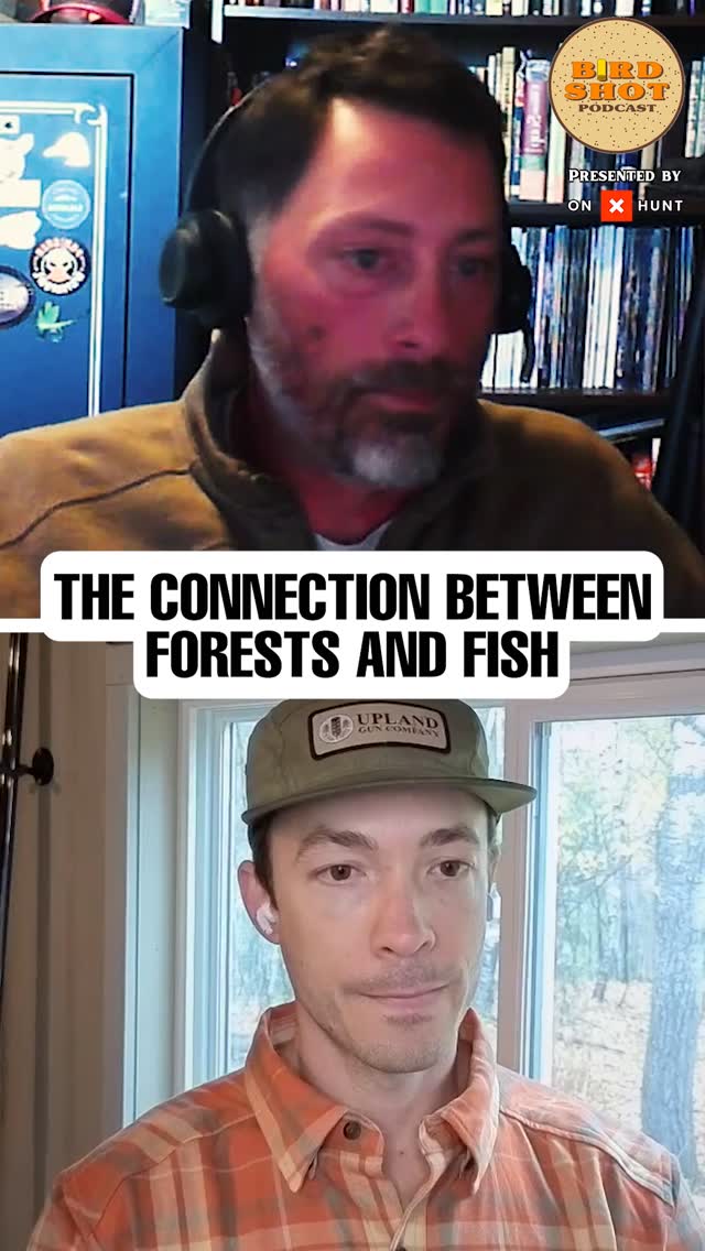 Your ecosystem is only as strong as your conservation strategy.
In this episode of the Birdshot Podcast, host @nilarson13 invites guests @lowles.andrew and @markmsymes of @rgs.canada to explore the often-overlooked ecological connection between upland bird habitat and coldwater fisheries.
🎧 Listen to the full episode, link in bio
#ConservationMatters #RuffedGrouse #ColdwaterFisheries #ForestEcology #HabitatRestoration #BirdshotPodcast #BrookTrout #AtlanticSalmon #WildlifeManagement #OutdoorConservation