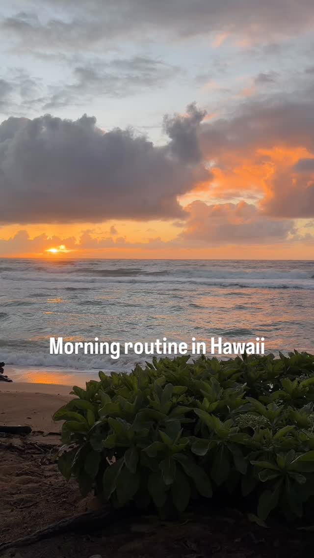 Finding balance while traveling 🌺 Starting the day off with some sunshine and slow movement 😌
#hormonehealth #wellness #hormonebalance #holistichealth #wellnessjourney #hormonehealing #cyclesyncing #selflove #holisticwellness #morningroutine #hawaii #kauai