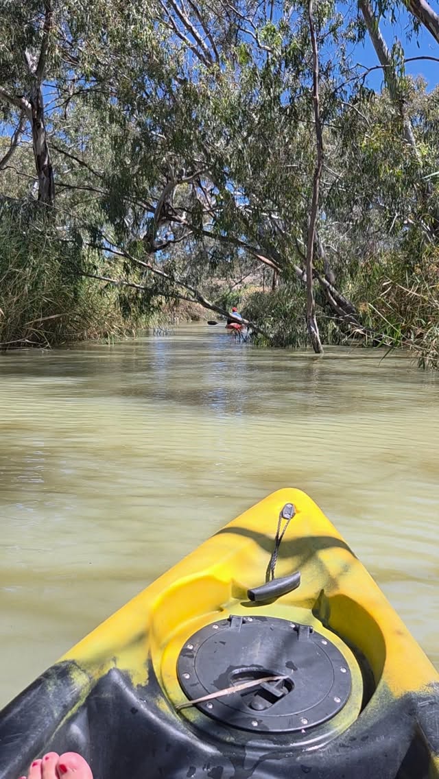 Taking a relaxing paddle down the mighty Murray River and its serene little side tributaries.