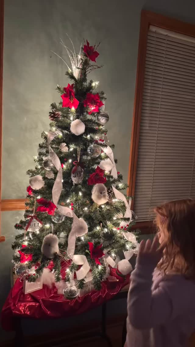 I’m obsessed over this table top tree that we won from the Octagon House over the weekend!! Just simply beautiful and a great decoration to ring in the holidays ❤️🎄