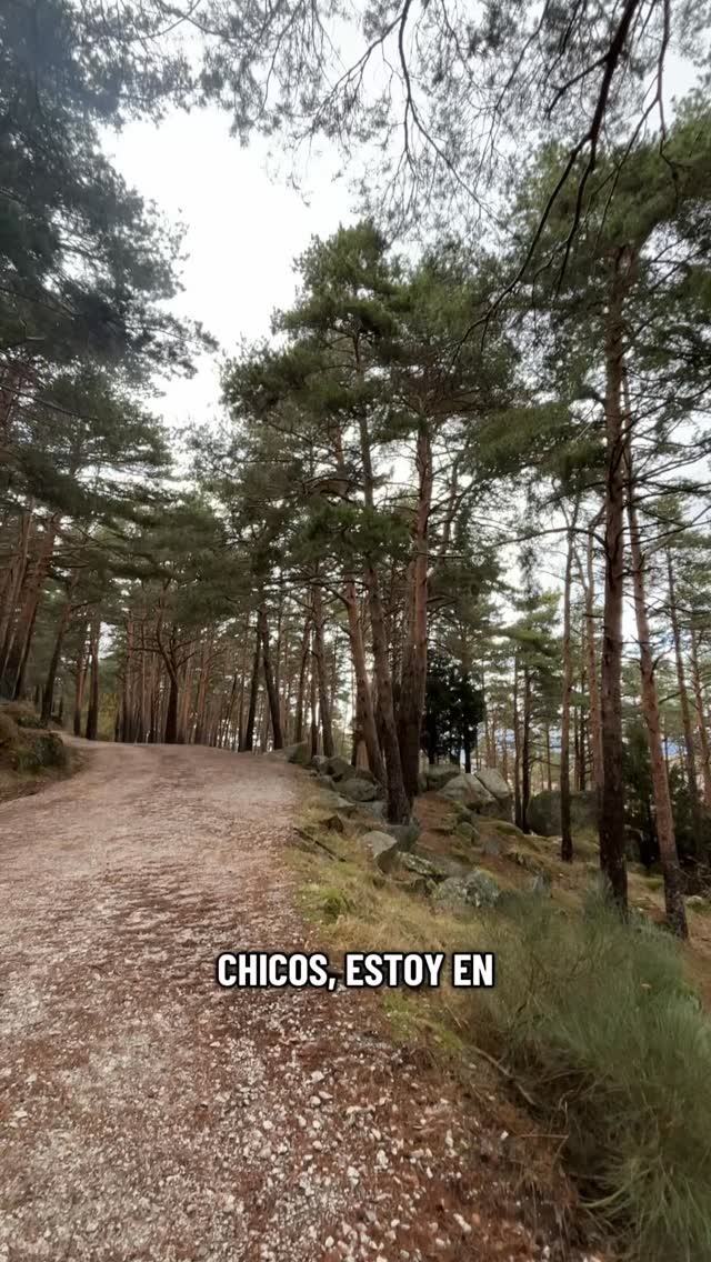 A veces pensamos que para hacer una buena foto hay que mostrar todo lo que tenemos delante… pero es justo lo contrario. La fotografía, al final, es ordenar el caos.
Cuando llegas a un lugar lleno de elementos, colores, gente, objetos… no tienes que abarcarlo todo. La clave está en elegir una parte del todo. Ese pequeño fragmento que representa lo que quieres contar.
Componer es decidir qué entra y qué queda fuera. Es buscar dentro del desorden ese detalle, esa relación de formas, ese gesto que sostiene la imagen.
No mostramos el mundo entero: mostramos nuestra mirada del mundo. Y ahí, en esa selección consciente, es donde empieza la verdadera creación fotográfica.
#fotografia #tipsdefotografia #fotoscreativas #shooting #tutorialfotografia
Gracias por tu aporte fotográfico @naogrvas