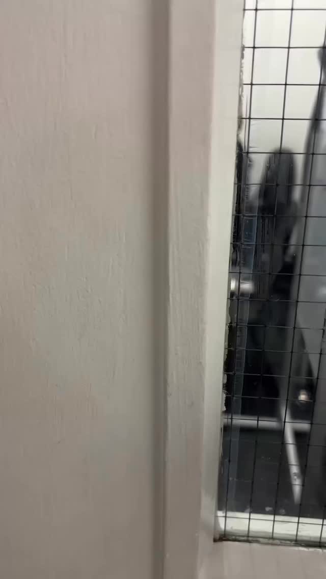 โจ What does kindness mean to you?
Itโs the simple things a smile, a helping hand, a moment of understanding. ๐ Kindness costs nothing but changes everything. #worldkindnessday #bekind #sแดสแดแดแด
สแดแด แด