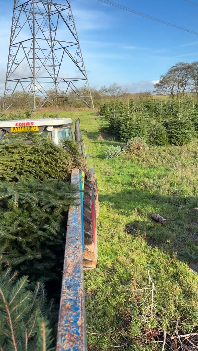 One week until we open our gates! First we are completing all our wholesale orders ๐๐