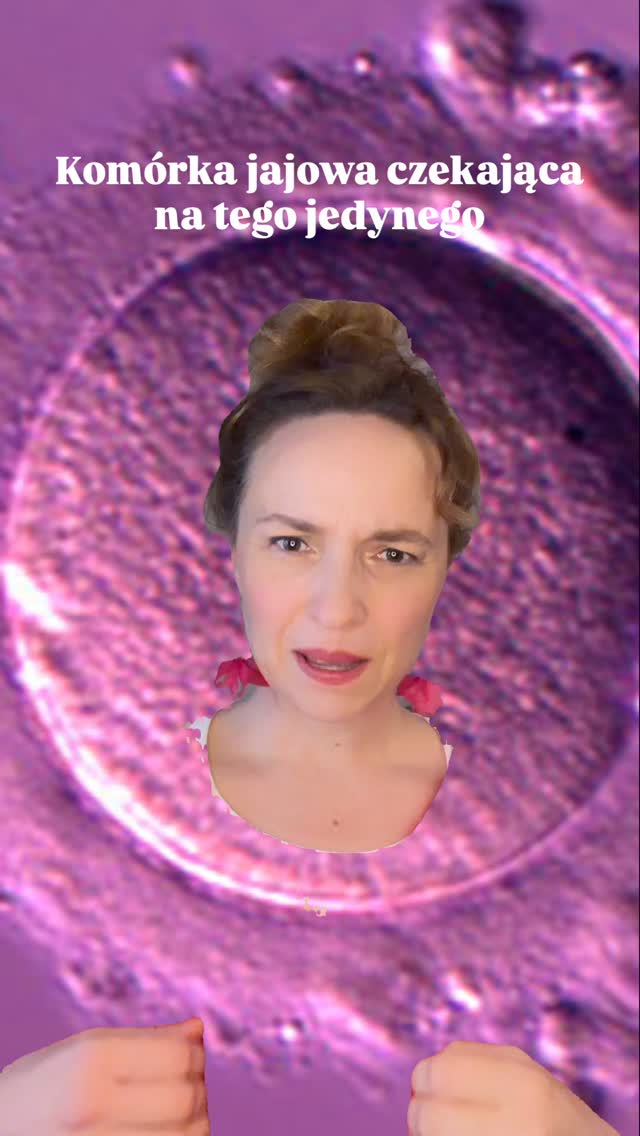 Komórka jajowa czeka tylko jeden dzień na swoją wielką miłość ❤️
Czeka w spokoju Yin na działanie Yang 🌓
Ma tylko jeden dzień, by spotkać tego właściwego.
A plemniki? Te potrafią wytrwać nawet 5 dni - jeśli środowisko Yin im sprzyja 💧- czyli to on ma więcej czasu, żeby ją znaleźć… tylko oby się nie zgubił po drodze! 😅
Harmonia to klucz – także w miłosnej podróży komórki i plemnika 💛
A Ty jak myślisz — kto tu naprawdę wybiera? Ona jego, czy on ją?
Zaopiekuj się sobą w Bertha Holistic 🌿
Thank you for the inspiration, @ttc.nutritionist 💫
Akupunktura zdrowotna, harmonia, stres, niepłodność, starania naturalne, ivf, in vitro, ciąża.
