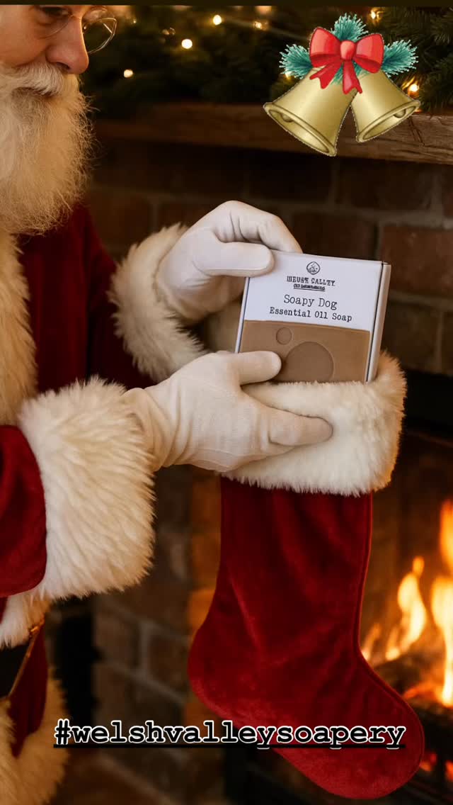 Christmas is for dogs too! Why not treat your pup to some Welsh Valley Soapery dog shampoo this year! It’s completely natural, made with neem oil, which is great for your dog’s skin and fur and a blend of dog friendly essential oils. Use discount code Soapyxmas2025 to get 10% off all orders over £30. #natural #soap #welsh #fyp #clean #shampoo #vegan #cute #wales #dogs #christmas #discount #pet #present #artisan