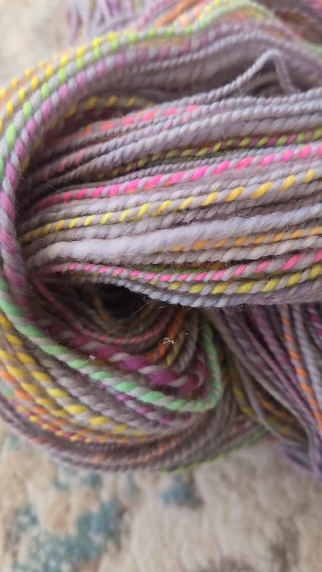 Sun Dog - 288 yards of fingering weight yarn in merino wool hand dyed in gray and neon rainbow. Now available!
https://sunriselodgefiberstu.etsy.com/listing/4393693851
#sunriselodgefiberstudio #spinnersofinstagram #spinning #handmade #yarn #yarnmaker #knitting #crochet #womanownedbusiness #merino #handdyed #handspun #handspunyarn