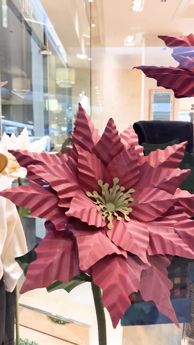 The tutorial and template for our Giant Poinsettia is now available on our Youtube channel, website and Etsy shop 🎄
Comment Poinsettia (or actually, any word, really) to receive the Tutorial link in your inbox 📥
#paperflowers #giantflowers #diypaperflowers #diychristmasdecor #christmasdecor