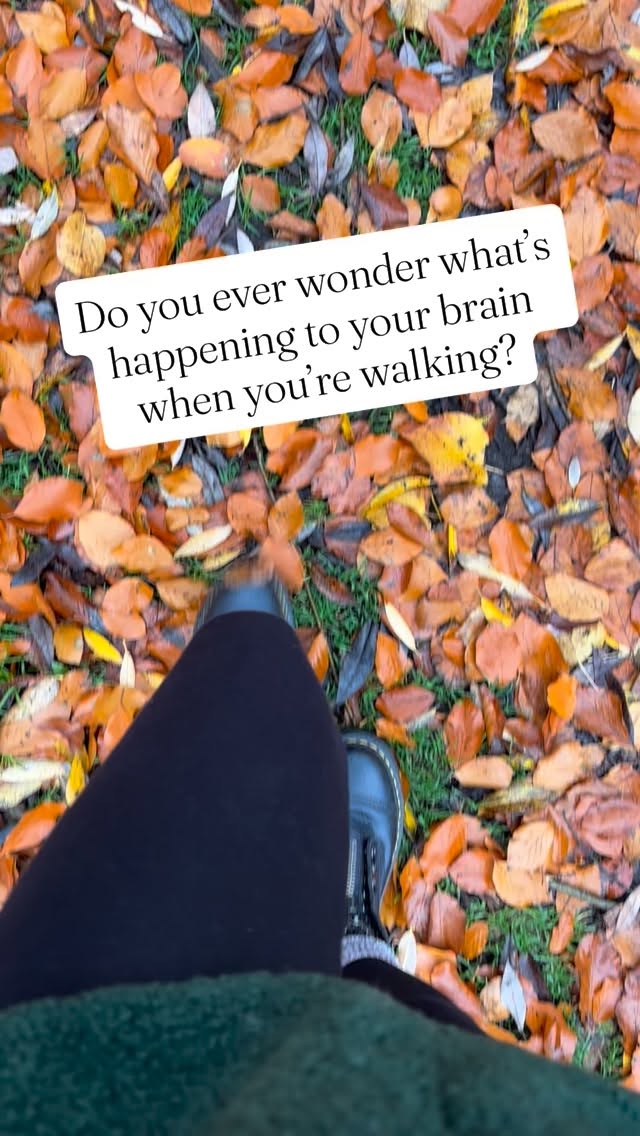 What if your walk is quietly rewiring your brain? 🧠
That steady left-right rhythm of walking doesn’t just move your body — it may be gently engaging your brain, too.
In EMDR therapy, we use something called bilateral stimulation (left-right movement like eye tracking or tapping) to help the brain process memories and regulate emotional responses.
Walking involves a similar left-right pattern. While it’s not the same as EMDR, emerging neuroscience is exploring whether it’s possible that rhythmic, bilateral movement may support emotional processing & nervous system regulation.
Curious? So am I! Could your daily walk be part of how your brain decompresses, integrates experiences/memories, and settles?
Keep walking. Your brain might be walking with you.
#Neuroscience #WalkingAsMedicine #EMDR #Bilateralstimulation #MentalHealthTools
#MindBodyConnection #therapist #TherapistThoughts #OutdoorTherapy