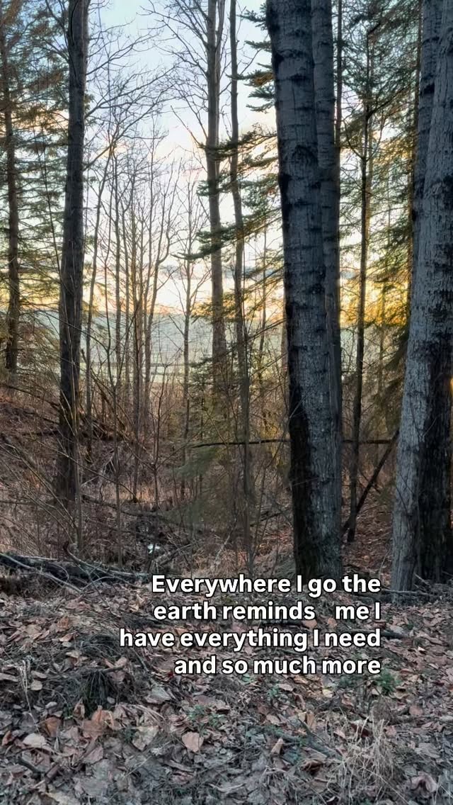 There’s so much going on in the world right now. So many opinions about how things should be handled, what’s right, what’s wrong.
Sometimes I catch myself wanting to dive in, to chime in to make sense of it all… and then I stop and come back to this simple truth:
Let go of that tug of war energy Anitta, I can vote with my heart. That endless divine energy that can shift so many things around us
When I vote with my heart, I’m choosing the energy I want to add to the world.
When I vote with my heart, I soften into connection with the land, with the people I love, with the quiet moments that remind me how much beauty still exists.
Last night was one of those reminders. Out in the SXS scanning the fields for grouse, deer feeling the crisp air, watching the sky change.
And then 🎆the northern lights. The soft green and wow the pink 😍waves that say, this is it, this is how the world heals.
One heart at a time.
#VoteWithYourHeart #EnergyMatters #GratitudeInMotion #PrairieNights #NorthernLightsMagic