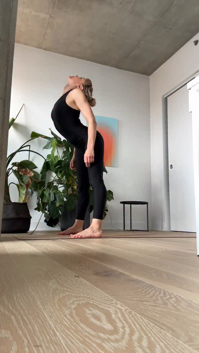 Good morning Montreal 🤍
After a slow morning flow #cheststand is always my favorite way to reset and focus before a full week of teaching @yoga.sangha
Day 5 #nocturnaloyoga
#yogamontreal #aloyoga #aloyogachallenge #contortion #contortiontraining #cheststand #cheststandpractice #backbendtraining #backbendtransitions #movementart #movementartist #theartofflex-ability