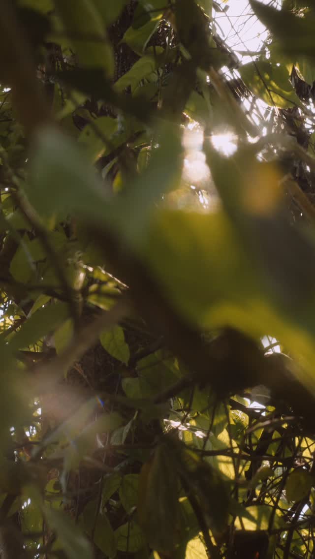 When the sun moves through the trees at V Escapes Moira, the whole place glows. The landscaping catches the light in all the right ways soft shadows, warm highlights, leaves dancing, corners turning golden.
🌿 6 Ensuite Bedrooms
🏊 50-ft Infinity Pool + Jacuzzi + Kid’s Pool
🛁 Soaking Bathtubs
🏋 Gym, Spa & Pickleball Court
👨🍳 Fully Staffed
📞 +91 93723 23328 | 📩 DM to book
#vescapes #vacationrental #goavillas #goavillasforrent #luxuryhomes #adindia