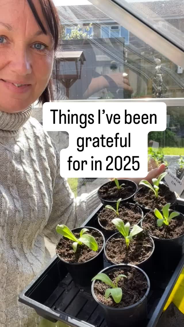 Happy New Year to my fellow plant lovers š„
As the sun sets on the final day of the year, Iām looking out at a garden that looks āemptyā to most, but to a gardener, itās a landscape full of promise.
Every season has its purpose:
šæSpring taught me the joy of new beginnings.
šæSummer taught me the value of hard work and resilience.
šæAutumn taught me the beauty of letting go.
šæWinter is teaching me the necessity of rest.
May your coming year be like a well-tended garden. May you have the patience to nurture your dreams, the strength to weather the storms, and the wisdom to know that even in the coldest winters, something beautiful is preparing to bloom.šæ
#happynewyears #memories #movingon