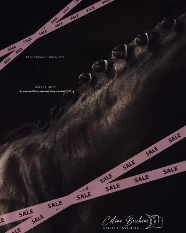 🚨 C’EST PARTI ! LA BLACK WEEK COMMENCE MAINTENANT ! 🚨
Pourquoi attendre quand on peut se faire plaisir dès aujourd’hui ? On lance les festivités en avance pour que vous puissiez en profiter tranquillement.
💥 L’OFFRE EXCLUSIVE :
Jusqu’à -70% sur une sélection d’articles
C’est le moment parfait pour préparer vos cadeaux de fin d’année (ou juste vous gâter) sans le stress de la dernière minute.
⚠️ Attention : Les stocks ne sont pas illimités et ça part déjà vite !
👇 Accès direct à la boutique :
lien en bio
#BlackWeek #BlackFriday #Promo #BonPlan #cheval #blackfridaydeals #blackfridaycheval