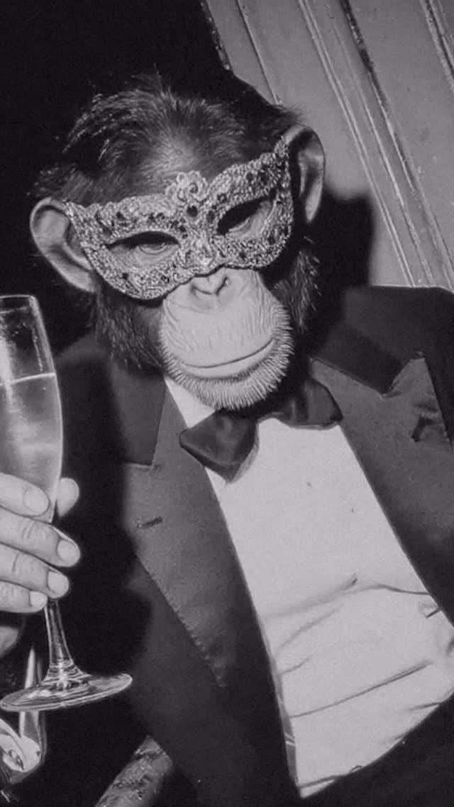 ๐ญ Youโre Invited to the Venetian Ball at Bonabo Social Club- Ticketlink in bio! ๐ญ
Step into a world of mystery, elegance, and celebration as we welcome the New Year in true Venetian style.
On New Yearโs Eve, Bonabo Social Club transforms into a grand Venetian ballroom, where masks conceal, music enchants, and the night is filled with timeless magic.
โจ What to expect:
โข A night of glamour inspired by the Venetian Carnival
โข Elegant dรฉcor and an enchanting atmosphere
โข Live music, dancing, and unforgettable moments to welcome 2026
โข
Choose your perfect experience:
๐ฅ Premium Early Access โ 20:00 | Unlimited Bites, Drinks & Champagne (โฌ66,50)โจ๐ธ Premium Plus Early Access โ 20:00 | Unlimited Bites, Drinks, Cocktails & Champagne (โฌ96,50)โจ๐ Party Access Regular Ticket โ 00:30 | Late-night entry to dance your way into 2026 (โฌ25,00)
This is more than a party, itโs an experience. Dress to impress, embrace the mystery of the mask, and prepare for an unforgettable night.
We canโt wait to celebrate with you at The Venetian Ball, New Yearโs Eve at Bonabo Social Club.
#bonabosocialclub #nye #zwolle #venetianball