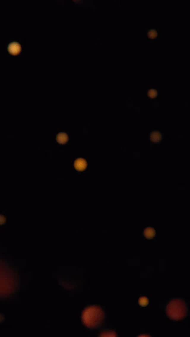 🎄✨ Frohe Weihnachten - und vielleicht a bissl so, wie‘s früher einmal war 👼🐌