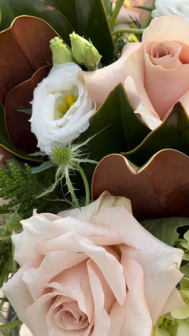 Winter Whisper 🌬️🌬️🌬️🤍
The perfect addition to your holiday table, order today online (link in bio) or give us a call 203-259-2722
#fairfieldct #southportct #colonialgardens #greenfieldhillct #shoplocal #smallbusiness #gardencenter #shopsmallct #gardencenter #shopsmallct #florist #shoplocalct