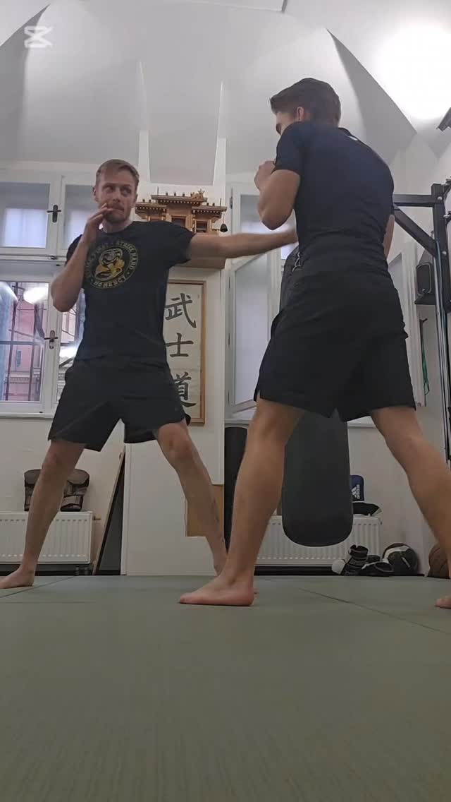 Childhood Judo training stays with you long after you've stopped practicing. Falling also :)