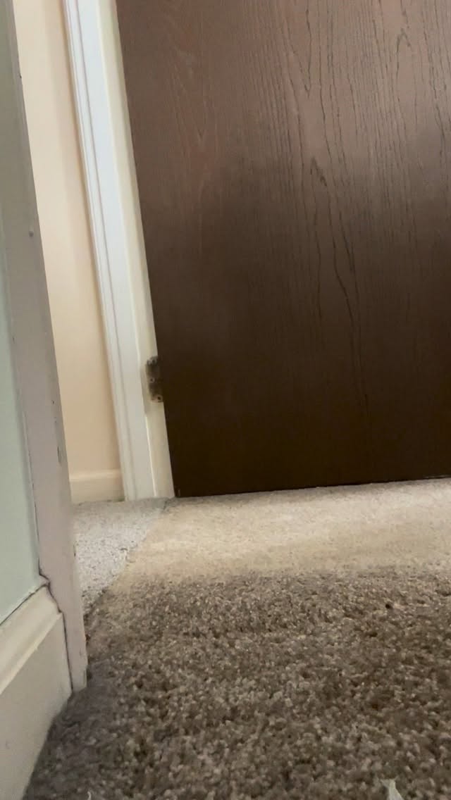 Ahhhh that new carpet feeling. You know.. the infuriating one when you realize you can’t close your doors anymore? 🫣😅 Yeah I fix that too! Call for your free estimate today! #freshstart #handyman