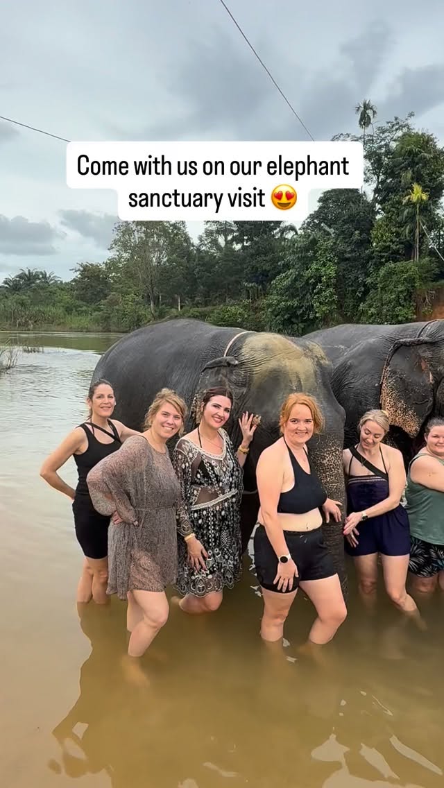 LOVE bringing our Travel Queens here, never gets old! 😍
This is our visit to a very carefully selected, authentically ethical elephant sanctuary that cares for retired domestic elephants on Day 2 of our Thailand Adventure, where we have the very special privilege of helping to take care of and get up close to these beautiful animals 🩵
I think everyone’s faces tell you just how special this experience is 🥹
Head to the Travel Queen website to find out more about our next Thailand Adventure where you can do this and sooo much more! There’s a link in our profile and stories 👉
Travel Queen is a small, super personal group tour operator running group tours for women only - follow us for more highlights of all our adventures and more solo female travel inspiration!
#womanpower #solofemaletravel #sofetravel #grouptravel #pov #reels #travelqueen