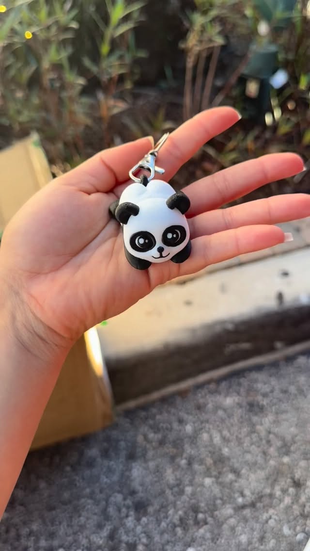 Panda Keychain
#foryou #keychains #3dprinting