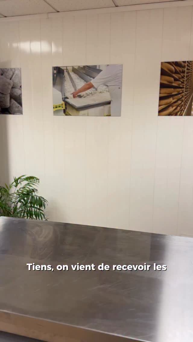 🍷 𝗗𝗲𝘀 𝗹𝗼𝘁𝘀 𝗮̀ 𝗹𝗮 𝗵𝗮𝘂𝘁𝗲𝘂𝗿 𝗱𝘂 𝗪𝗲𝗹𝘀𝗵 𝗙𝗲𝘀𝘁 !
Cette année, 𝗹𝗲𝘀 𝗴𝗮𝗴𝗻𝗮𝗻𝘁𝘀 𝗣𝗿𝗼 ne repartiront pas qu’avec la gloire…
Ils repartiront avec du très lourd 😏
👉 Une 𝗯𝗼𝘂𝘁𝗲𝗶𝗹𝗹𝗲 𝗱’𝗢𝗿𝗰𝗮 signée Maison @marrenon_vignobles
un rouge intense, élégant, parfait pour sublimer un Welsh coulant à souhait.
🍾 Et surtout… 𝗹𝗲 𝗠𝗮𝘁𝘂𝘀𝗮𝗹𝗲𝗺.
𝘖𝘶𝘪, 𝘱𝘭𝘶𝘴 𝘲𝘶’𝘶𝘯 𝘮𝘢𝘨𝘯𝘶𝘮 !
6 litres de pur prestige… 🤌
Un immense merci à nos 𝗽𝗮𝗿𝘁𝗲𝗻𝗮𝗶𝗿𝗲𝘀 @marrenon_vignobles
pour ces lots d’exception, aussi généreux que leurs vins 🍇
Cette année, il faudra du talent… et des biceps 💪
pour soulever le titre et le Matusalem du Welsh Fest 🧀🔥
🔞 𝙇’𝙖𝙗𝙪𝙨 𝙙’𝙖𝙡𝙘𝙤𝙤𝙡 𝙚𝙨𝙩 𝙙𝙖𝙣𝙜𝙚𝙧𝙚𝙪𝙭 𝙥𝙤𝙪𝙧 𝙡𝙖 𝙨𝙖𝙣𝙩𝙚́, 𝙖̀ 𝙘𝙤𝙣𝙨𝙤𝙢𝙢𝙚𝙧 𝙖𝙫𝙚𝙘 𝙢𝙤𝙙𝙚́𝙧𝙖𝙩𝙞𝙤𝙣
#WelshFest #ConcoursDuWelsh #Marrenon #lillemaville #georgesvlille #faisfondrelewelshchef #villedelille #concoursinternationalduwelsh2025 #lille