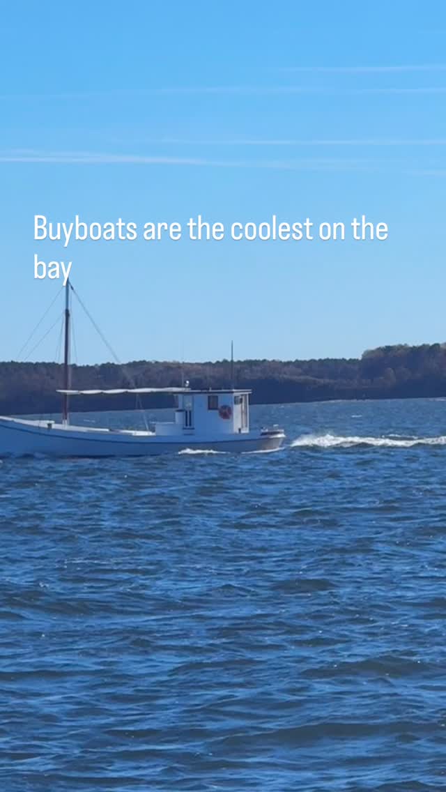 Didn’t see the name on this one but man it was cool #chesapeake #charterboat #charterfishing #cobia #vabeach #reddrum #chesapeakebay #vabeachphotographer #navy