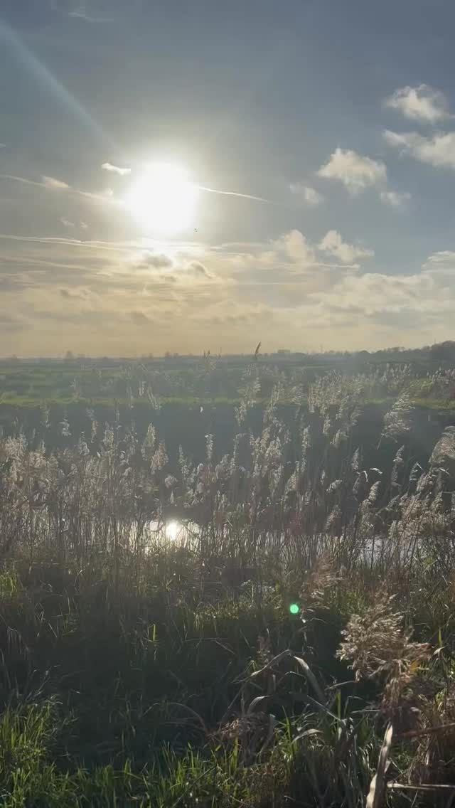 Voel jij de laatste tijd signalen waar je geen vinger op kunt leggen?
Moe, koud, brain fog, trage darmen… het zijn signalen die veel vrouwen herkennen, maar niet altijd koppelen aan hun schildklier.
✨ Luister naar je lichaam, het geeft altijd signalen.
Een kleine verandering kan al zoveel doen. 💛
Je schildklier speelt een enorme rol in je energie, stemming, temperatuur, stoelgang en zelfs in hoe je haar eruitziet.
Het is dus helemaal niet gek als je lichaam iets probeert te vertellen.
Wil je weten wat jij kunt doen om je schildklier te ondersteunen?
Stuur me een dm en ik denk met je mee welke eerste stappen voor jou passend zijn.
📌 Bewaar deze Reel voor later
💬 Deel ‘m met iemand die hier wat aan kan hebben. #schildklier #schildklierklachten #femmehormoonspecialist #perimenopauze #hormoonbalans #hormoonfactor #gezondeleefstijl #trageschildklier #obstipatie