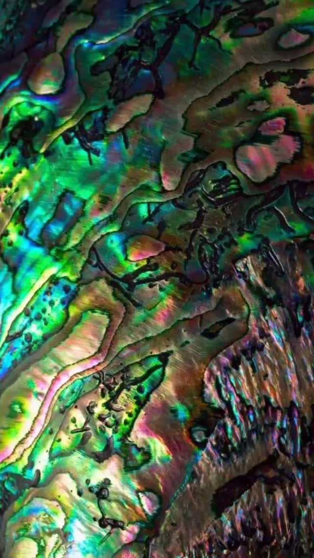 ✨ Abalone Elegance in Duramica Panels ✨
Abalone — also known as paua shell — is a marine mollusk celebrated for its vivid, iridescent nacre. Unlike classic white mother-of-pearl, abalone reveals a 🌈 stunning spectrum reminiscent of black opal, with deep blues, purples, and turquoise undertones.
This natural palette is strikingly unique and brings a captivating accent to any interior.
Our Duramica Panels incorporate the authentic beauty of abalone, delivering a luxurious, expressive, and truly distinctive design feature 🤍✨
Perfect for spaces where individuality, depth, and premium aesthetics matter.
#Duramica #Abalone #PauaShell #InteriorDesign #LuxuryInteriors #StonePanels #ArchitecturalDesign #MaterialsThatInspire #interiors #interior #design #homedecor #designinspiration #interiordesign #moderninteriordesign #designdeinteriores #luxuryinteriors #interiorstyling #modernhomedecor #contemporaryinteriordesign #motherofpearl #motherofpearlinlay #motherofpearlfurniture #motherofpearlinlay #nacar #perlmutt #nacre #madreperla