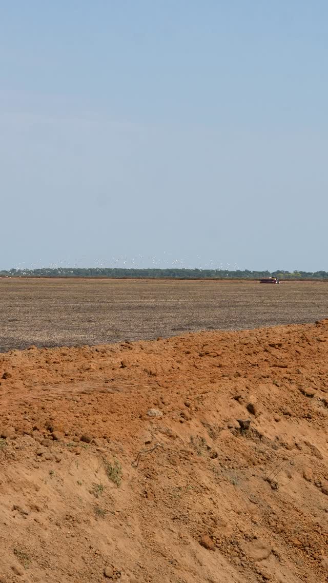 Começamos o ciclo da Soja Guepardo! Preparo de solo, plantio direto ativado!
População: 16 plantas/m
Colheita: em 95 dias.
O campo não para! 🚜💨
#Soja #Plantio #DiamanteAgricula
#ReelsDoCampo #95Dias #safra2026🚜🌱💪