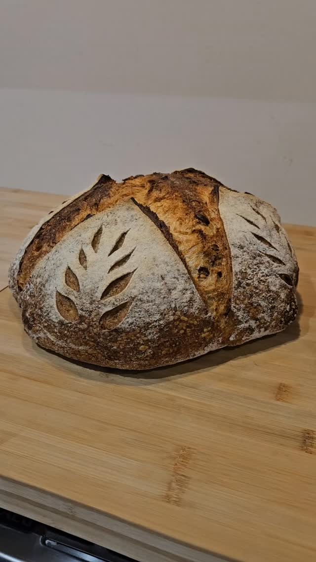 Our family’s all-time favourite — a big boule of white sourdough packed with Omega 4 seed mix.
Crispy crust, soft crumb, and that tangy flavour that lasts for five whole days, just like the good old days.
#BakedByTheVarga #SourdoughLove #HomemadeBread #ArtisanBaking #SourdoughBoules #SeededSourdough #SlowFermentation #RealBread #BakersOfInstagram #CrustAndCrumb #FamilyFavourite #SmallBatchBaking #SourdoughCommunity