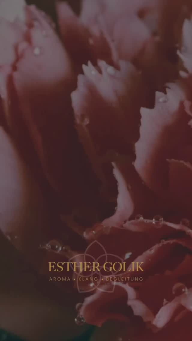 Ein Hauch von Rose – sanft, klar, herzöffnend. 🌹
Rosenhydrolat erinnert uns daran, innezuhalten und tief durchzuatmen.
Es kühlt, beruhigt und schenkt ein Gefühl von Geborgenheit – für Haut und Seele zugleich. ✨
Ein feiner Sprühnebel, ein Moment für dich.
So einfach kann Selbstfürsorge sein. 💧
Manchmal ist ein Duft der sanfteste Weg, zu sich selbst zurückzufinden.
Ich begleite dich gerne mit einer individuellen Aromaberatung.
Mehr Infos & Terminvereinbarung: Link in Bio
#rosenhydrolat #aromatherapie #pflanzenwasser #naturpflege #selbstfürsorge #naturkosmetik #achtsamkeit #wohlfühlen #pflanzenkraft #aromapflege #naturverbunden #düfte #innereruhe #rosenliebe