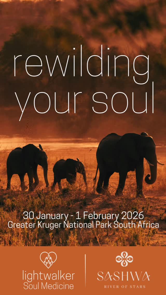 🌿 Reclaim your wild and wise nature in this soulful safari retreat
🌿 Sashwa River of Stars, Greater Kruger National Park
🌿 30 Jan - 1 Gen 2026
To learn more, visit link in bio
#retreat #retreatyourself #rewilding #nature #safari #healing #soulmedicine #wellness #ecolodge