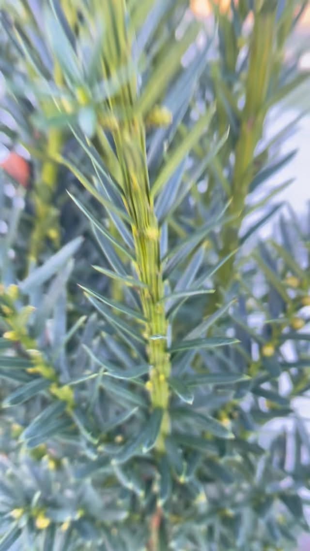 Idag är vi på öppet hus hos @hangonab , Varmt välkomna att besöka oss