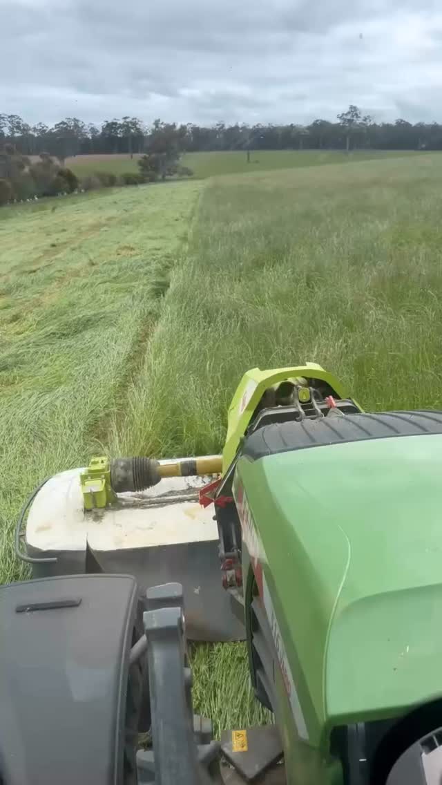 Fendt 516 in action!
There’s nothing better than visiting our local farmers and gaining an insight into what they do best - producing the best food and fibres for us!
Today we had the opportunity to see a Fendt 516 recently purchased from Southern Forest Machinery out in the paddock putting in the work.
Cutting silage with a front + rear mower setup, the 516 delivers smooth power, precise control, and impressive fuel efficiency—meaning less time in the seat and lower operating costs. With up to 165 HP, the Vario transmission, and the comfort of the VisioPlus cab, it’s built to make every acre more efficient.
A big thank you to our customer for giving us the time to visit and for choosing us for their Fendt tractor needs—we truly appreciate the trust and continued business!
Now onto the hay program 🌾
#fendt516 #fendtvario #manjimup @fendt.global @fendt.anz #southernforestmachinery
