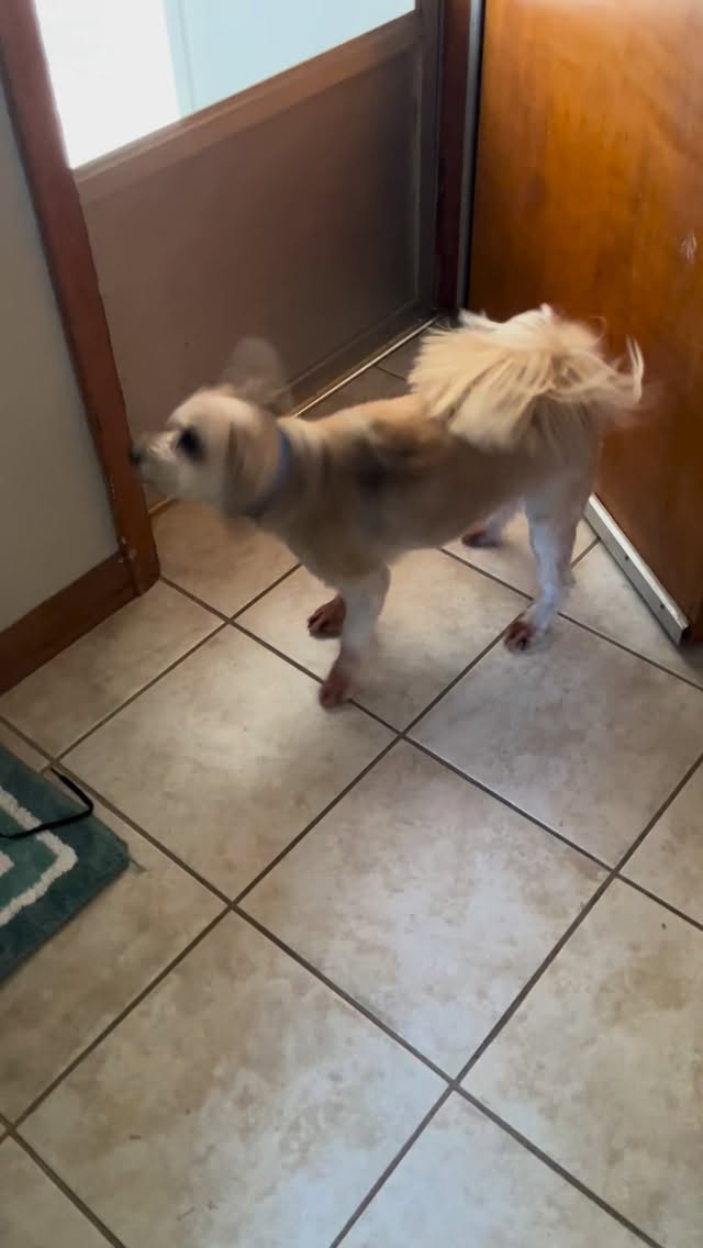 Marvin says let’s walk!