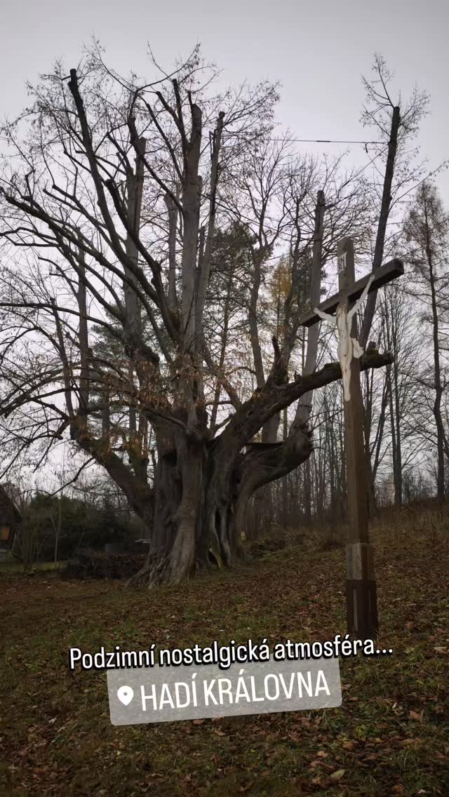 Dnešní procházka... #nostalgy #autumn #fall