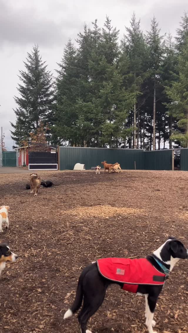 Playtime never ends!