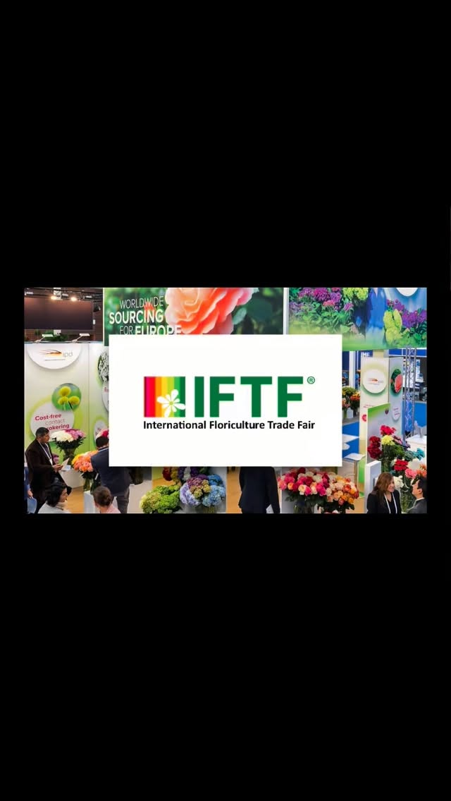 IFTF gave us closeness, connection and community. It reminded us that the future of flowers is built by people who show up, sit down, listen, challenge, share and build relationships. Let’s grow this movement: let’s bring more buyers, more creatives, more designers into these shows. Because the more diverse the room, the stronger our industry becomes.#ecuadorysusflores #theflowersofecuador #floriculturaecuatoriana #thebestroses #ecuador #bestrosesever #iftf2025