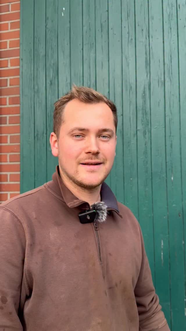 🌳✂️ Wurzelnackter Obstbaum? Wir zeigen dir, wie du den perfekten Pflanzschnitt durchführst – mit Kronen- und Wurzelschnitt für einen starken Start nach dem Einpflanzen! 🍎🌱
Wir haben viele verschiedene Sorten von Obst da, ob Hochstamm, Halbstamm, Busch, Säule, Zwergobst oder Spalier. Hier findet jeder etwas für seinen Garten.
Willst du noch weiteres Obst in deinen Garten einziehen lassen?
#baumschule #baumschulenterbrack #obstbaum #obst #garten #pflanzschnitt #pflanzenliebe #gärtner #gärtnerwerden