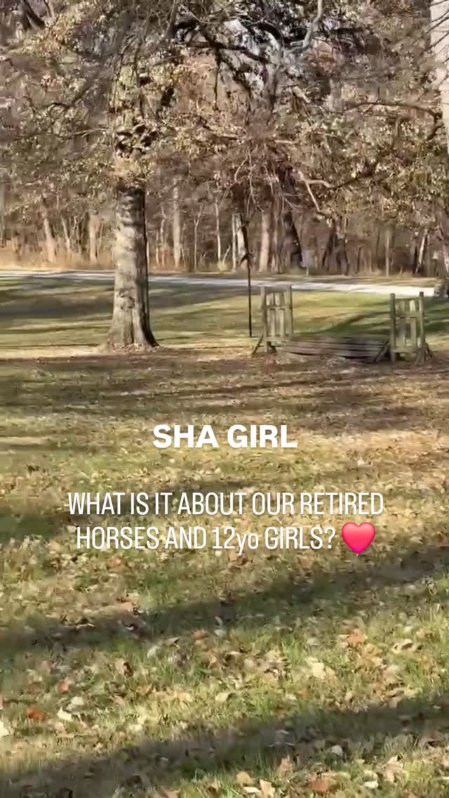 We love the updates from our former runners' new families - here's Sha Girl showing off her cross country skills. Lately we've been hearing a lot from a couple of 12-year-old young ladies who are very happy with their Romans adoptees. Thanks to everyone who supports aftercare and thanks as always to @secondstride for placing them in good homes. 🙏💕