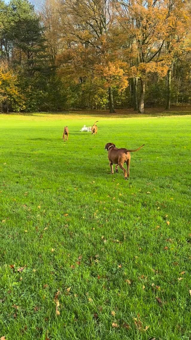 Goedemorgen!! In het zonnetje tussen de buien door๐ฅณ